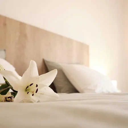 Апартаменты Casa Do Lirio - Local